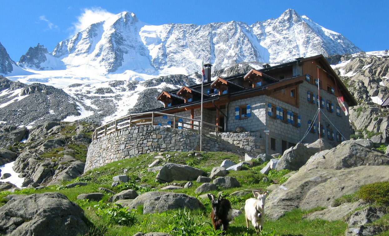 Rifugio Stavel «F. Denza» | © Ph Rifugio Denza, APT Valli di Sole, Peio e Rabbi