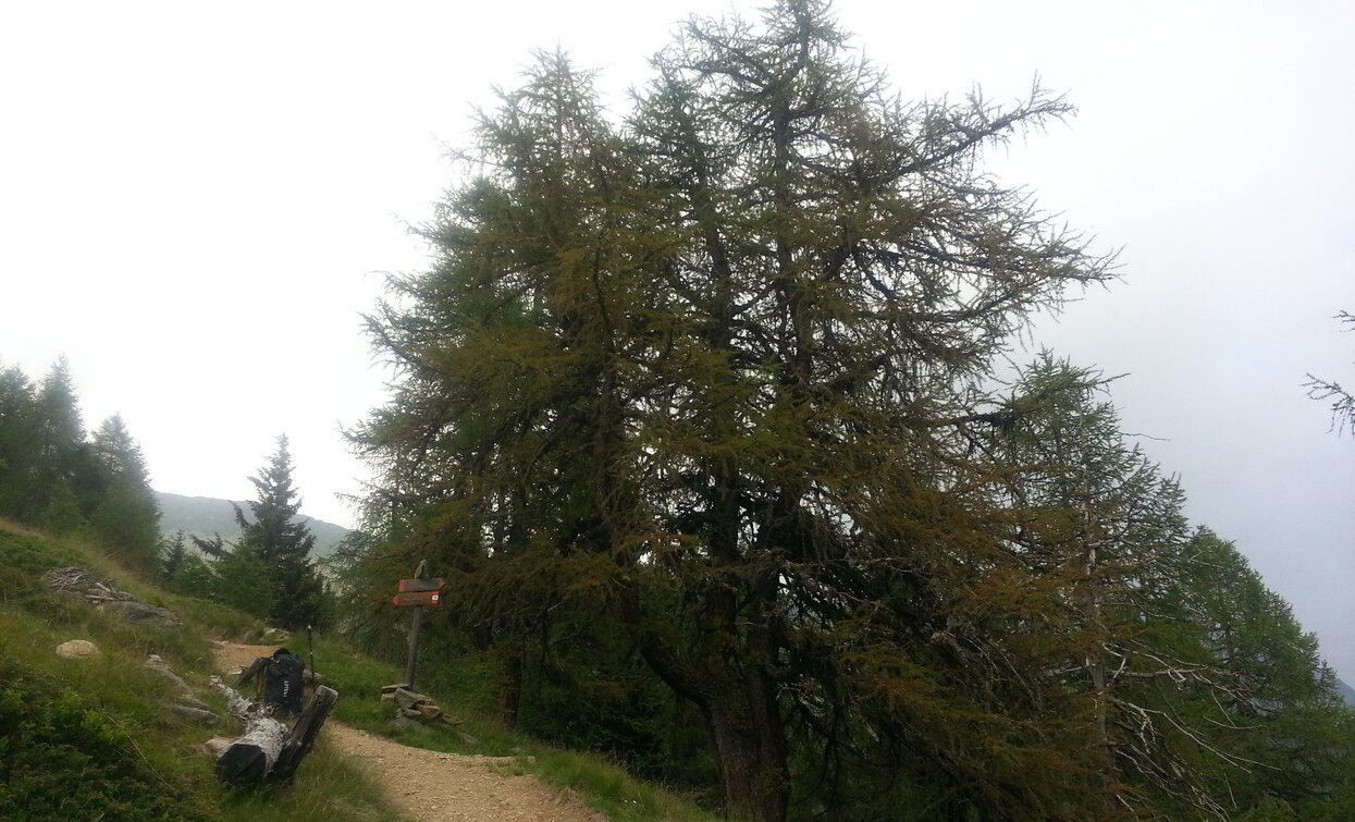 Haselgruber Refuge «at Lake Corvo» | © Ph Guide Alpine Val di Sole, APT Valli di Sole, Peio e Rabbi