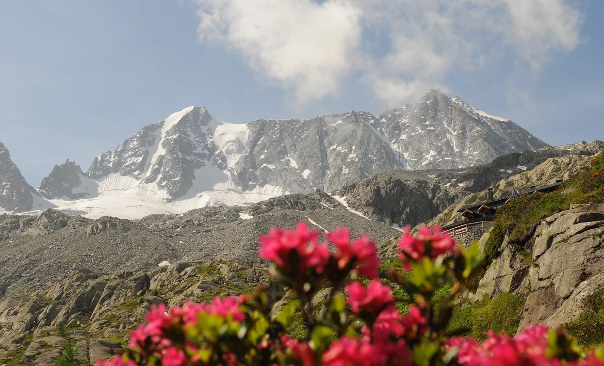 Summit Presanella | © Ph Mochen Tiziano, APT Valli di Sole, Peio e Rabbi