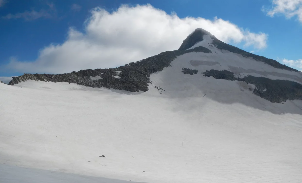 Summit Presanella | © Ph Guide Alpine Val di Sole, APT Valli di Sole, Peio e Rabbi