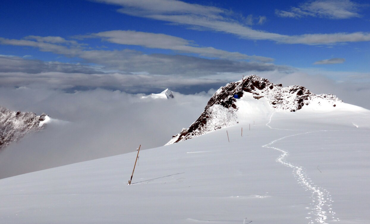 Monte Vioz e Punta Linke | © Ph Guide Alpine Val di Sole, APT Valli di Sole, Peio e Rabbi