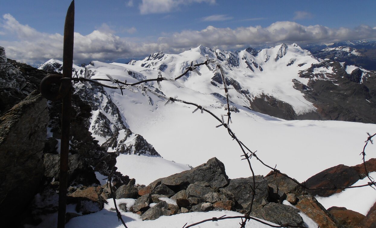 Monte Vioz e Punta Linke | © Ph Vicenzi Maurizio, APT Valli di Sole, Peio e Rabbi