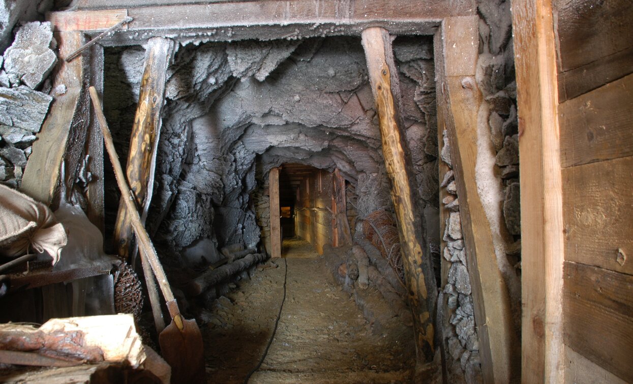 Monte Vioz e Punta Linke | © Ph Vicenzi Maurizio, APT Valli di Sole, Peio e Rabbi