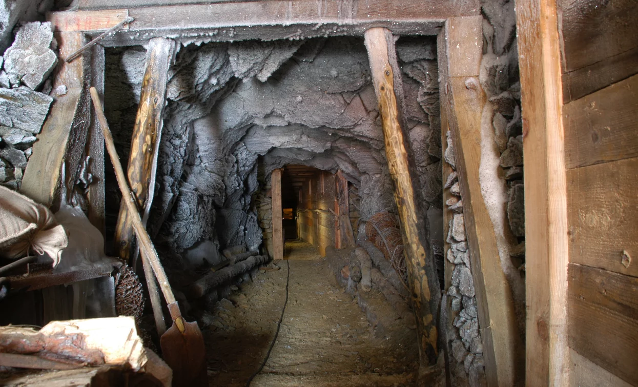 Monte Vioz e Punta Linke | © Ph Vicenzi Maurizio, APT Valli di Sole, Peio e Rabbi