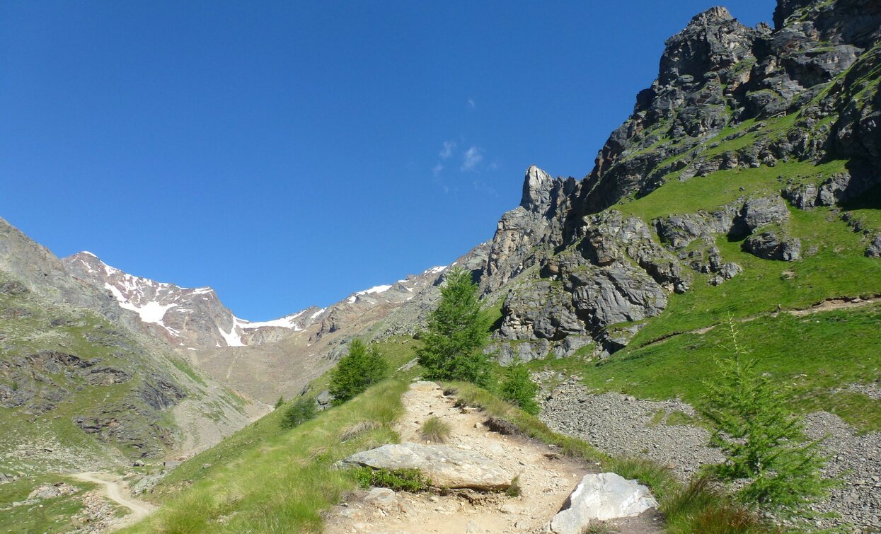 Monte Vioz e Punta Linke | © Ph Guide Alpine Val di Sole, APT Valli di Sole, Peio e Rabbi