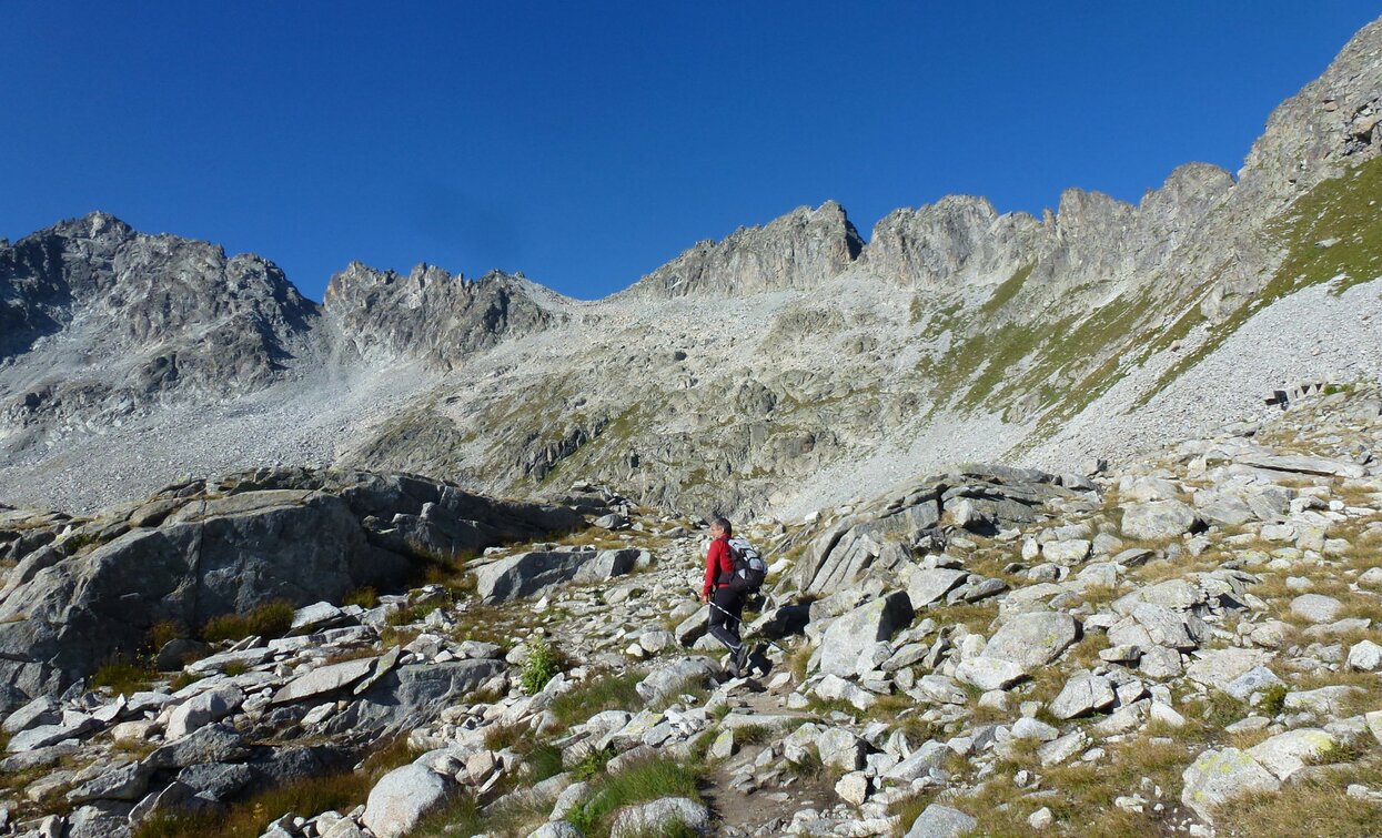 Sentiero dei Fiori | © Ph Guide Alpine Val di Sole, APT Valli di Sole, Peio e Rabbi