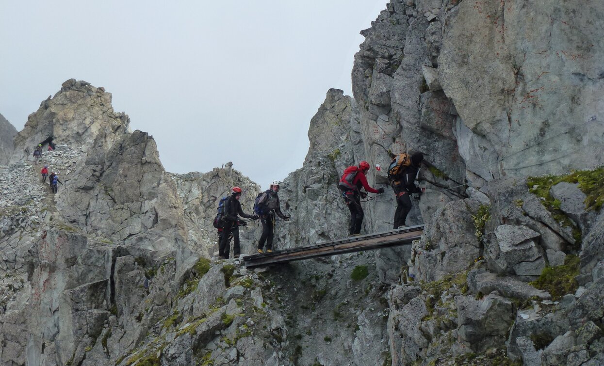 Sentiero dei Fiori | © Ph Guide Alpine Val di Sole, APT Valli di Sole, Peio e Rabbi