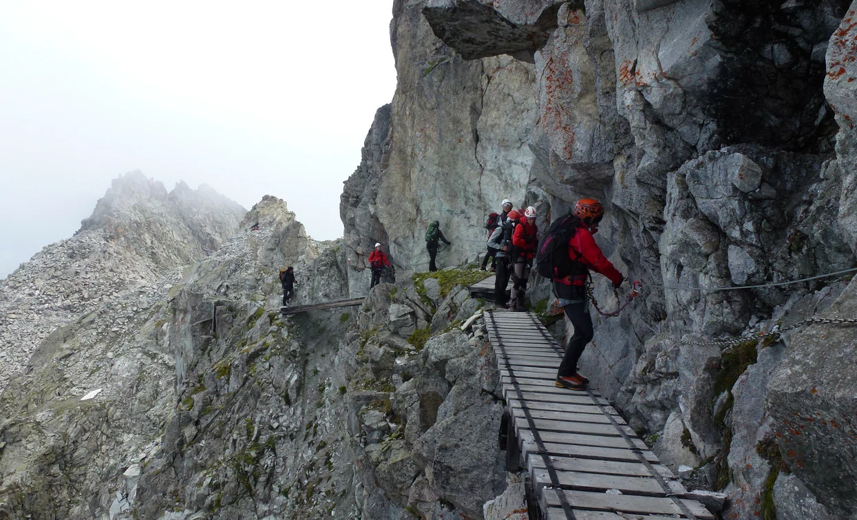 Sentiero dei Fiori | © Ph Guide Alpine Val di Sole, APT Valli di Sole, Peio e Rabbi