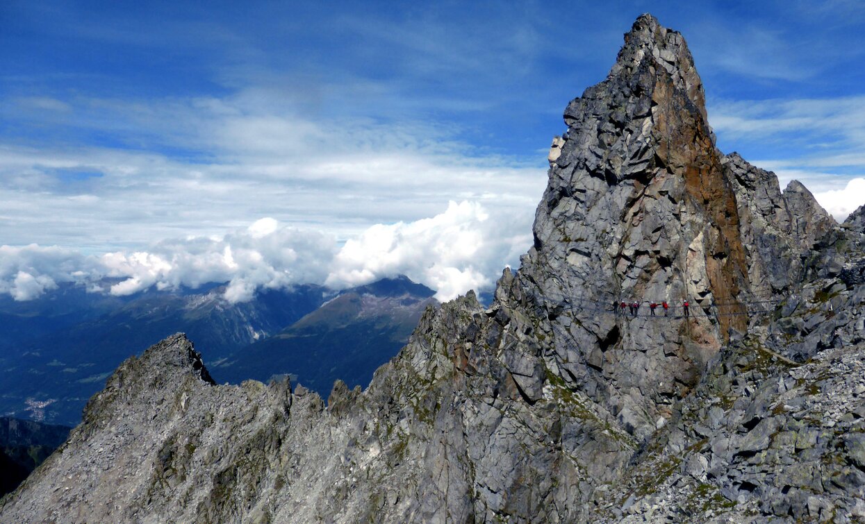 Sentiero dei Fiori «Sentiero dei Fiori» | © Ph Guide Alpine Val di Sole, APT Valli di Sole, Peio e Rabbi