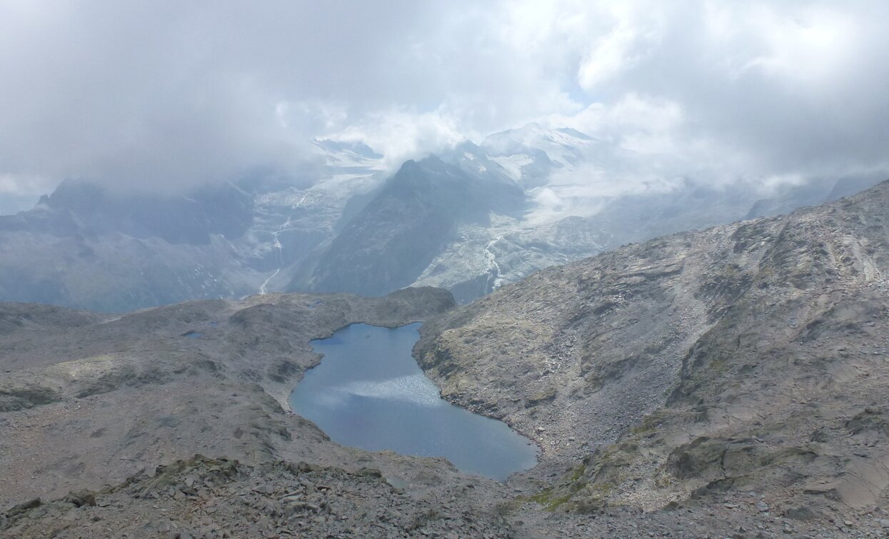 Sentiero dei Fiori «Sentiero dei Fiori» | © Ph Guide Alpine Val di Sole, APT Valli di Sole, Peio e Rabbi