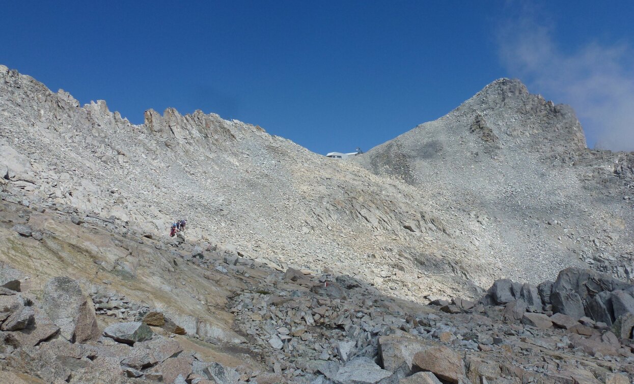 Sentiero dei Fiori «Sentiero dei Fiori» | © Ph Guide Alpine Val di Sole, APT Valli di Sole, Peio e Rabbi
