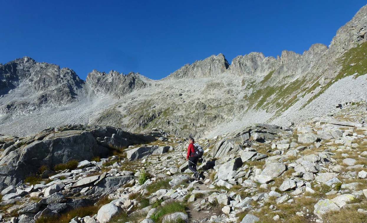 Sentiero dei Fiori «Sentiero dei Fiori» | © Ph Guide Alpine Val di Sole, APT Valli di Sole, Peio e Rabbi