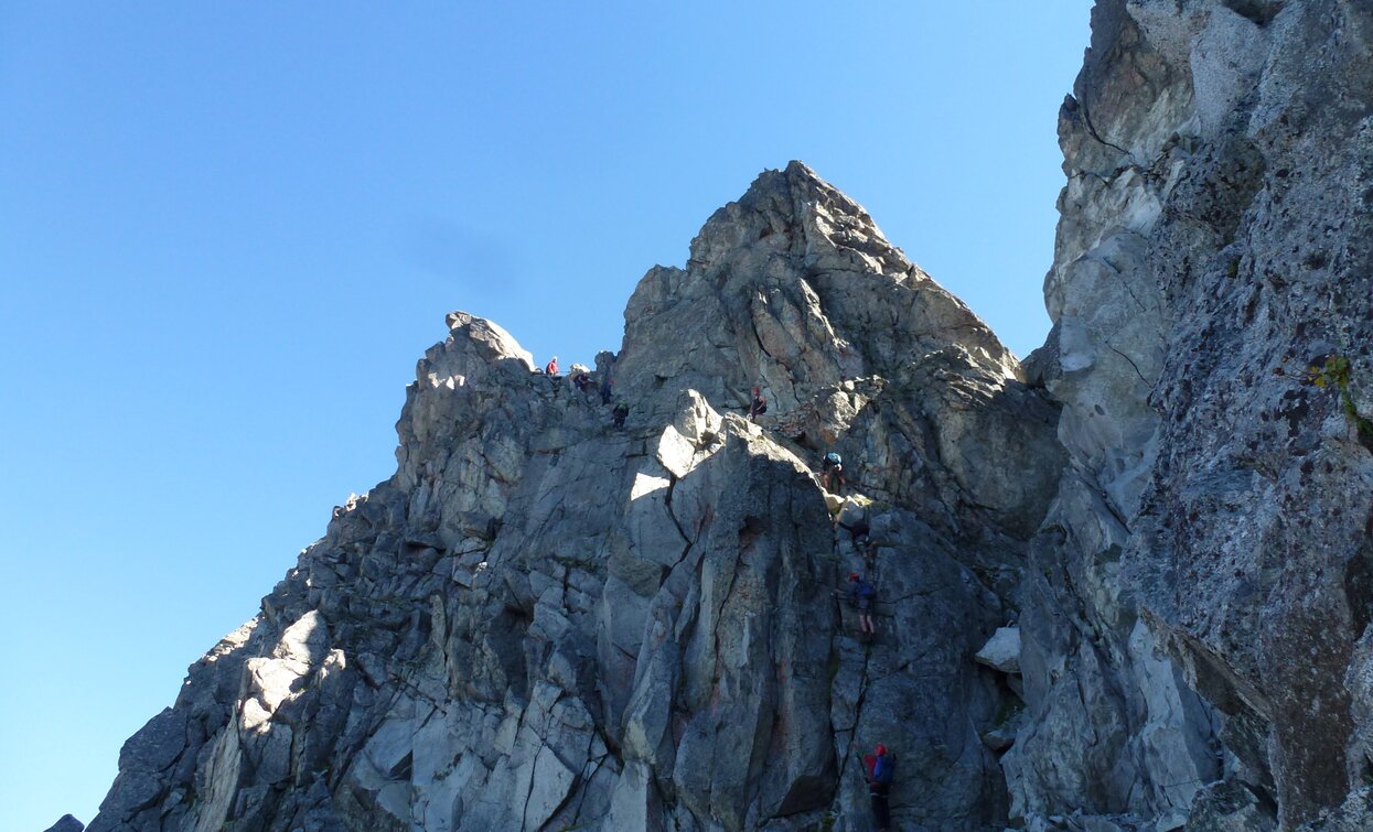Sentiero dei Fiori «Flower Trail» | © Ph Guide Alpine Val di Sole, APT Valli di Sole, Peio e Rabbi