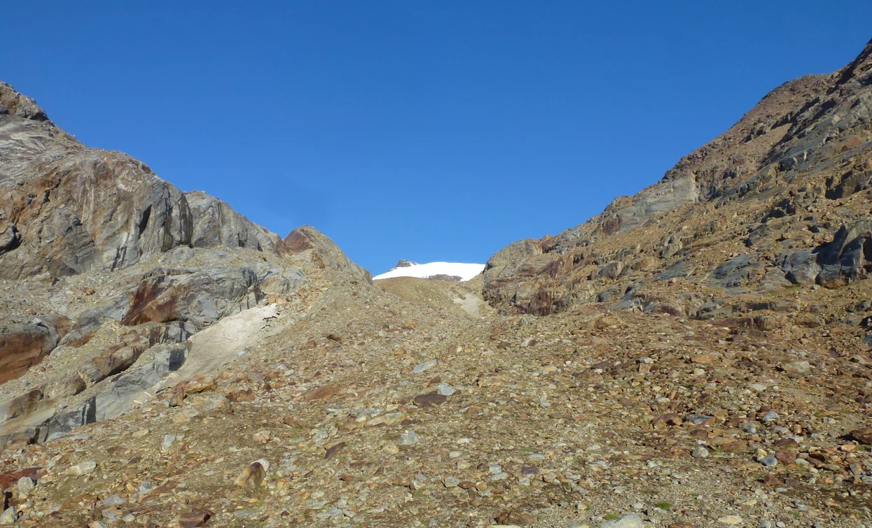 The glaciers of Ortler-Cevedale | © Ph Guide Alpine Val di Sole, APT Valli di Sole, Peio e Rabbi