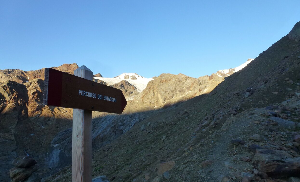 Die Gletscher des Ortler-Cevedale | © Ph Guide Alpine Val di Sole, APT - Valli di Sole, Peio e Rabbi