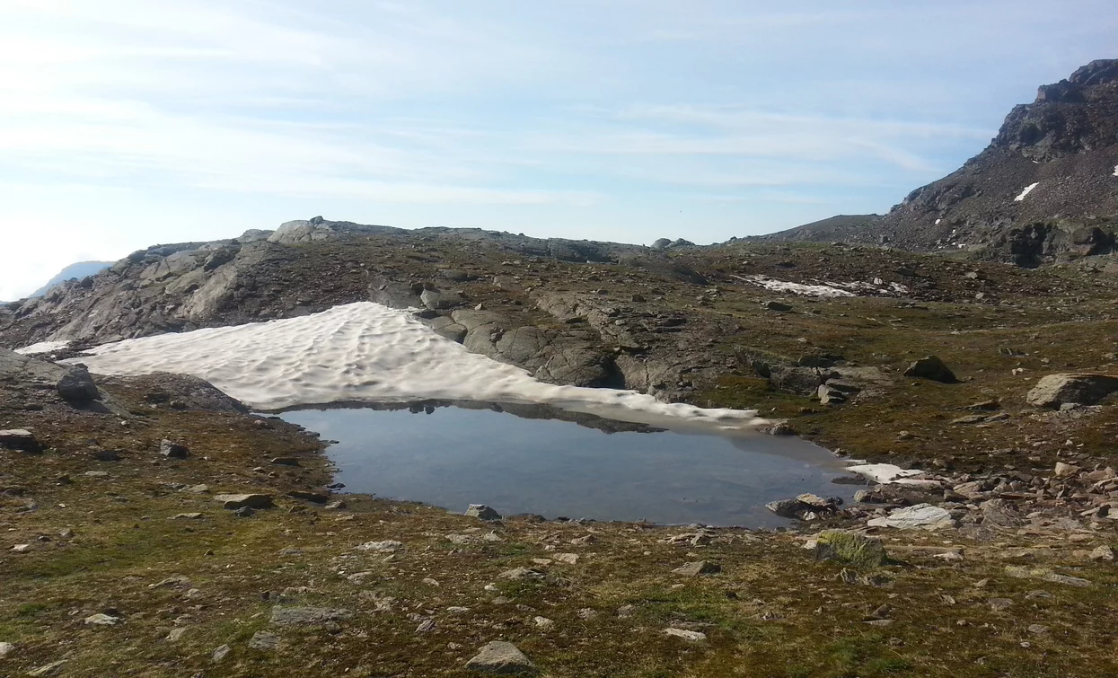 Trekking im Nationalpark Stilfserjoch | © Ph Guide Alpine Val di Sole, APT - Valli di Sole, Peio e Rabbi