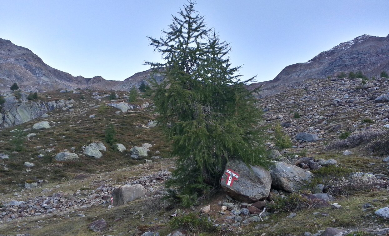 Trekking nel Parco Nazionale dello Stelvio | © Ph Guide Alpine Val di Sole, APT Valli di Sole, Peio e Rabbi