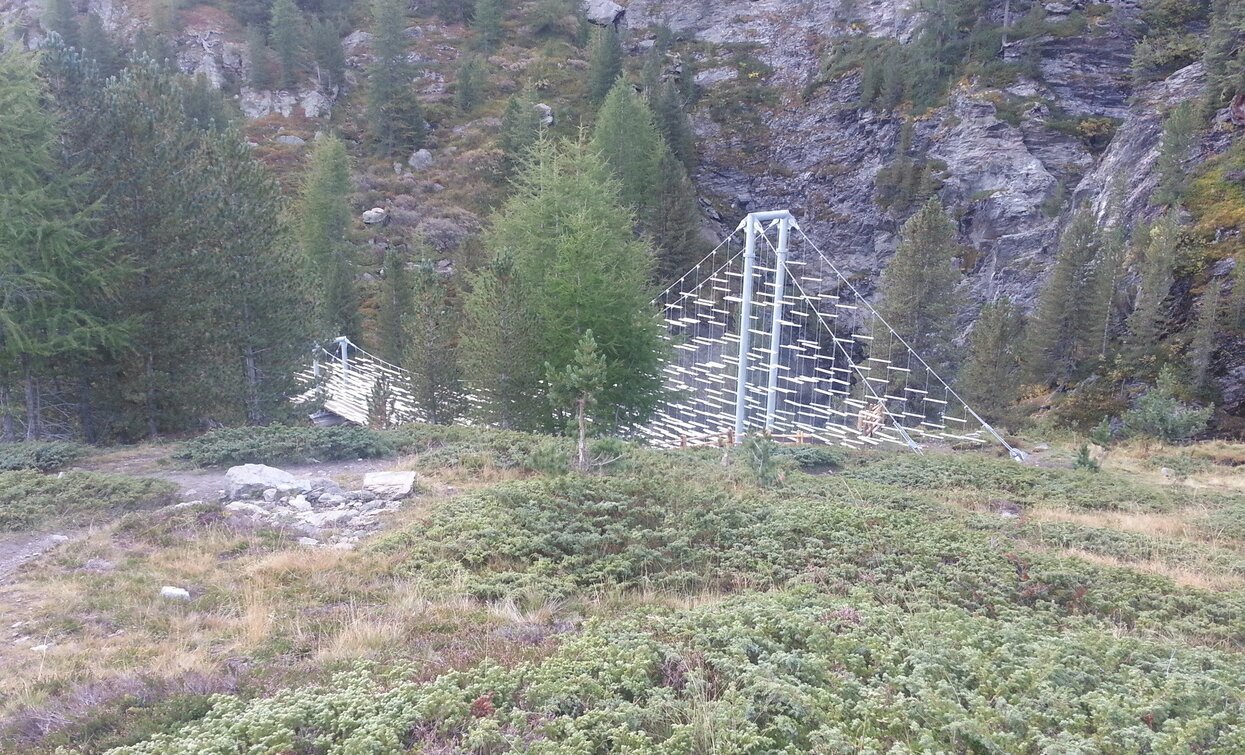 Trekking nel parco nazionale dello Stelvio | © Ph Guide Alpine Val di Sole, APT Valli di Sole, Peio e Rabbi