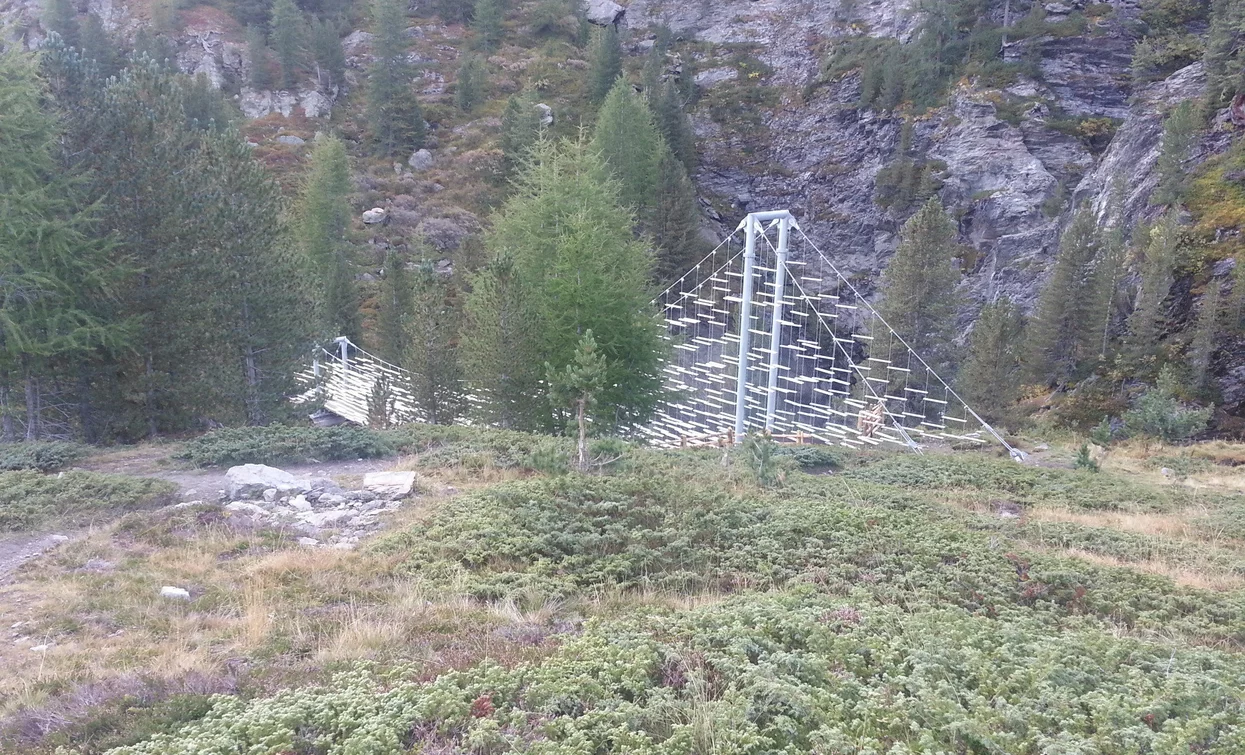 Trekking im Nationalpark Stilfserjoch | © Ph Guide Alpine Val di Sole, APT - Valli di Sole, Peio e Rabbi