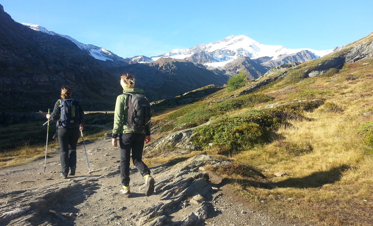 Trekking nel Parco Nazionale dello Stelvio | © Ph Guide Alpine Val di Sole, APT Valli di Sole, Peio e Rabbi
