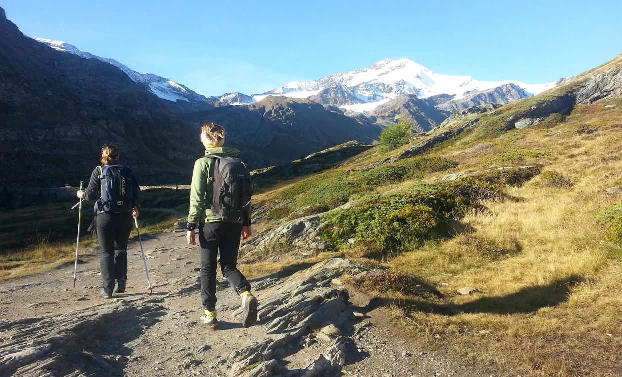Trekking im Nationalpark Stilfserjoch | © Ph Guide Alpine Val di Sole, APT - Valli di Sole, Peio e Rabbi