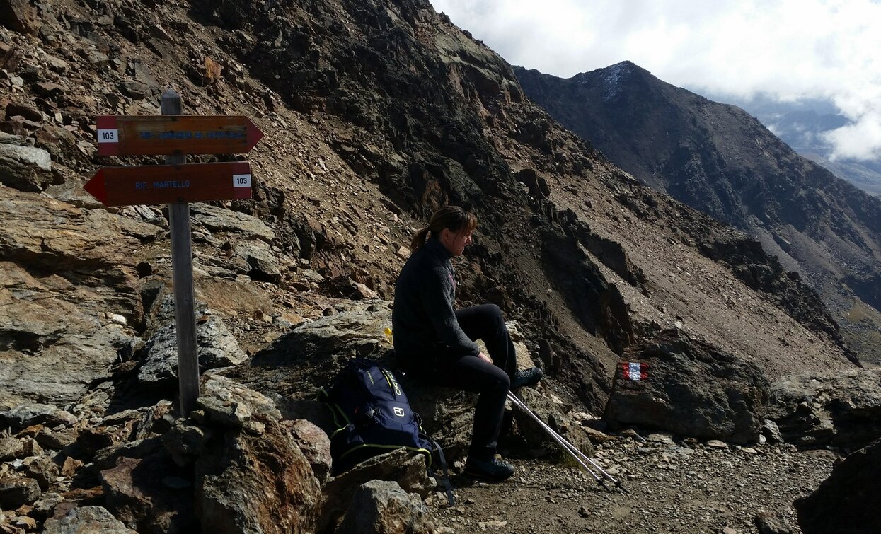 Trekking nel Parco Nazionale dello Stelvio | © Ph Guide Alpine Val di Sole, APT Valli di Sole, Peio e Rabbi