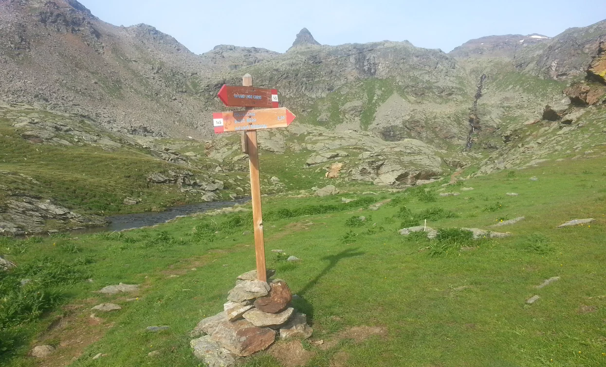 Trekking nel parco nazionale dello Stelvio | © Ph Guide Alpine Val di Sole, APT Valli di Sole, Peio e Rabbi