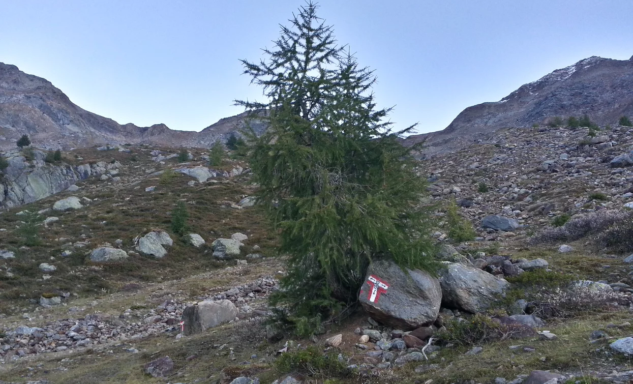 Trekking nel Parco Nazionale dello Stelvio | © Ph Guide Alpine Val di Sole, APT Valli di Sole, Peio e Rabbi