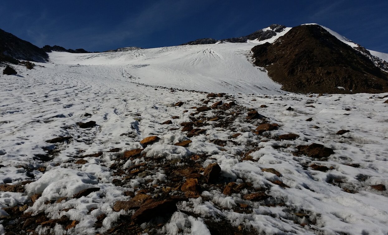 Trekking in Stilfserjoch National Park | © Ph Guide Alpine Val di Sole, APT Valli di Sole, Peio e Rabbi
