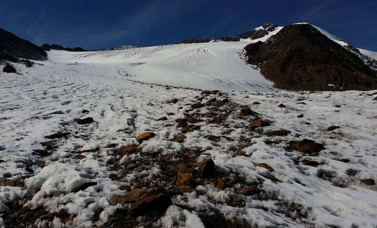 Trekking nel parco nazionale dello Stelvio | © Ph Guide Alpine Val di Sole, APT Valli di Sole, Peio e Rabbi