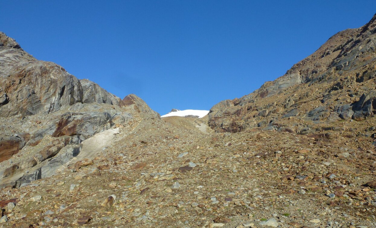 Monte Cevedale e i suoi ghiacciai | © Ph Guide Alpine Val di Sole, APT Valli di Sole, Peio e Rabbi