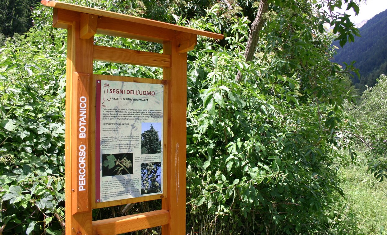 © Parco Nazionale dello Stelvio (settore Trentino)