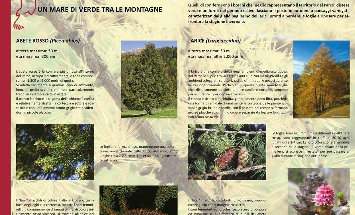 Un pannello lungo il percorso | © Parco Nazionale dello Stelvio (settore Trentino)