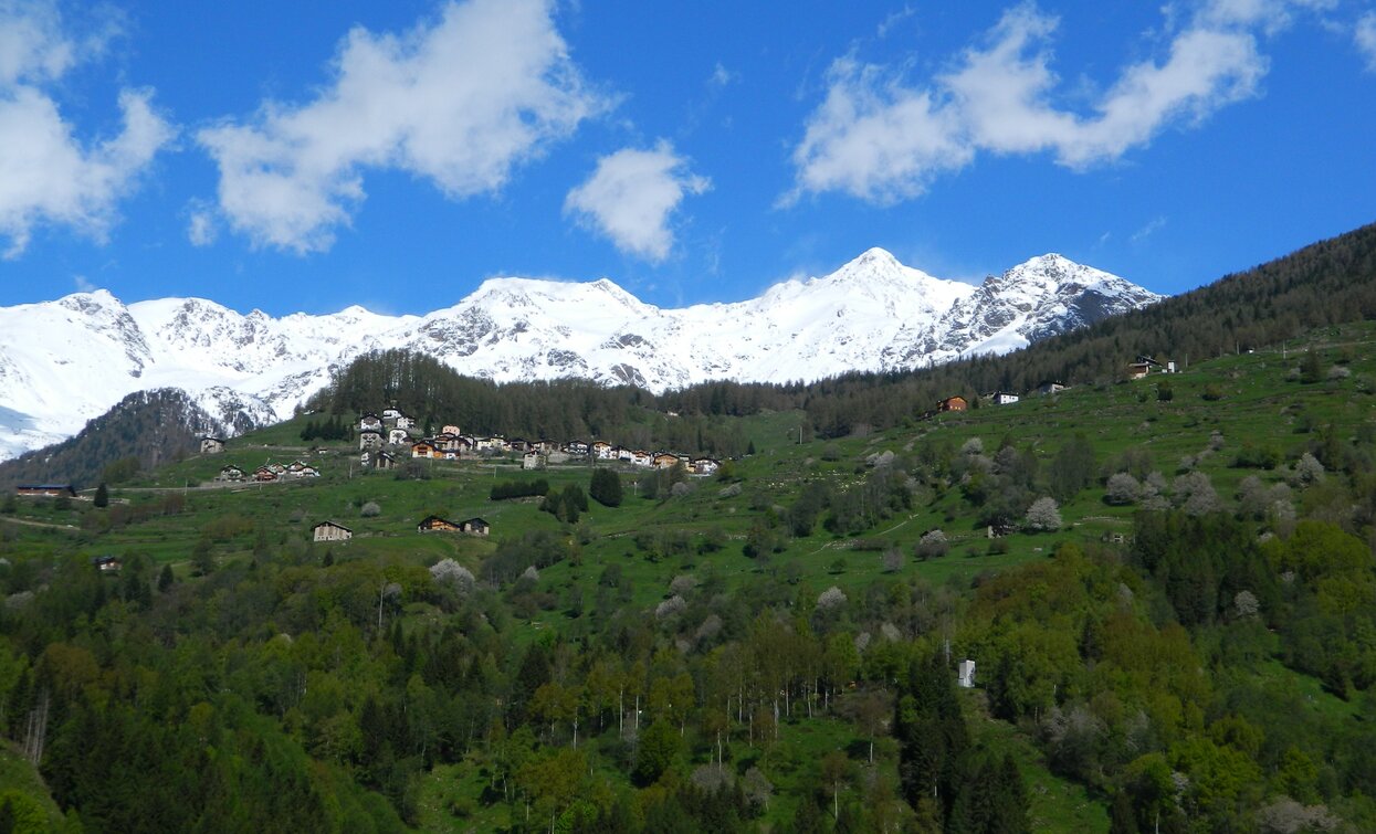 Bosco di latifoglie lungo il quale si snoda il percorso | © Parco Nazionale dello Stelvio (settore Trentino)