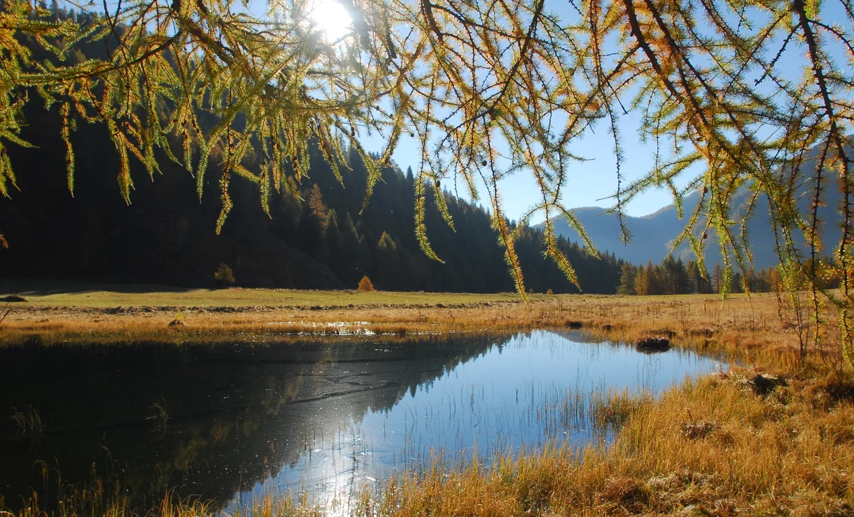 Lago Covel im Val di Peio | © Tiziano Mochen, APT - Valli di Sole, Peio e Rabbi