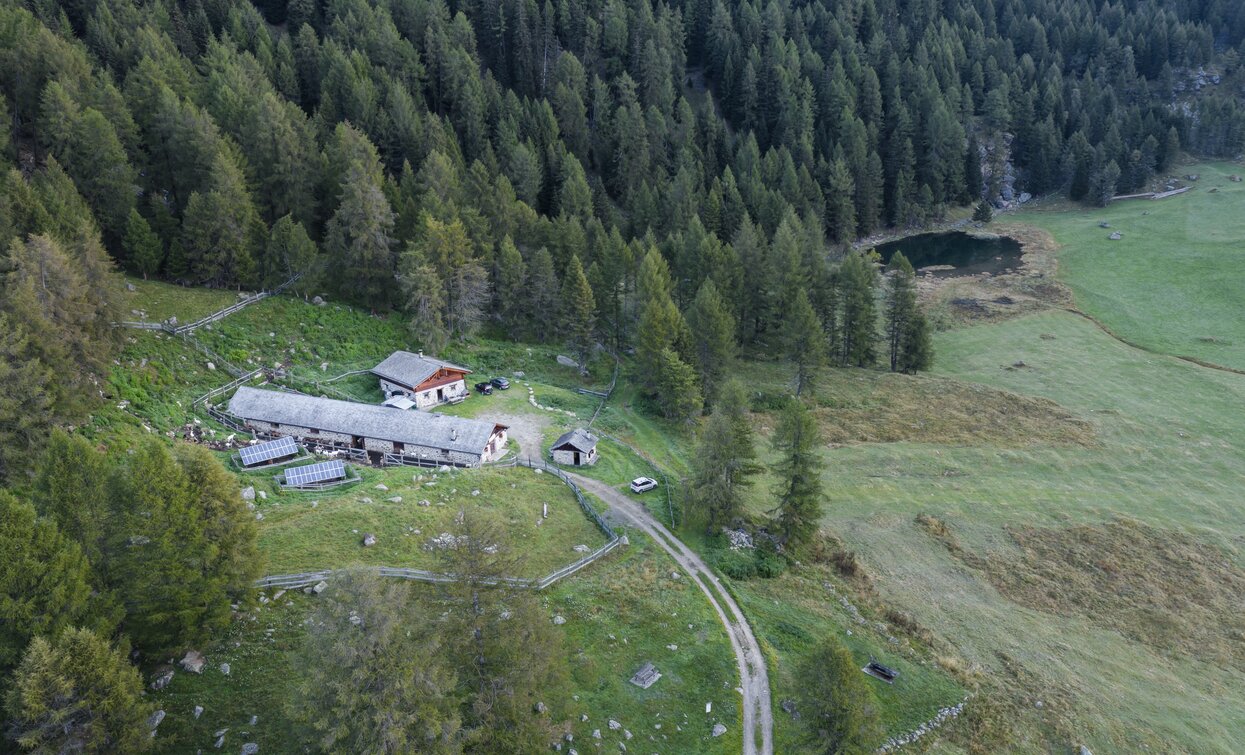 Malga Covel | © Giacomo Podetti, APT Valli di Sole, Peio e Rabbi