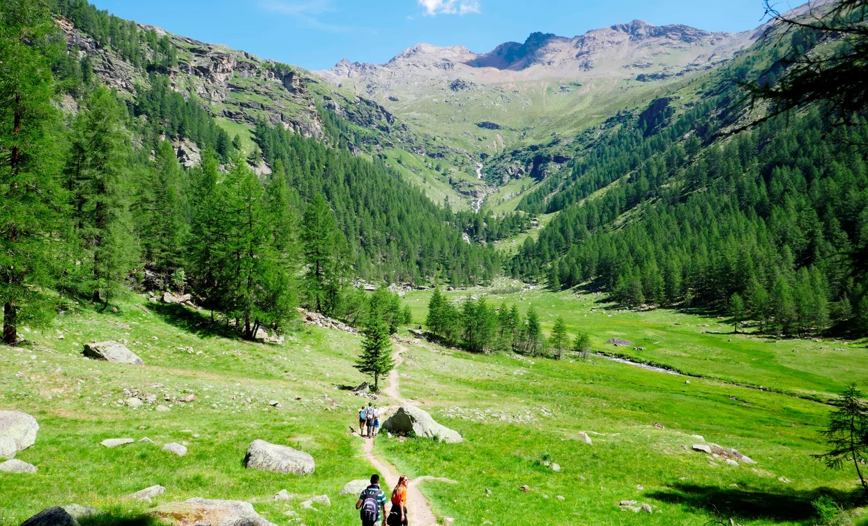 © Parco Nazionale dello Stelvio (settore Trentino)