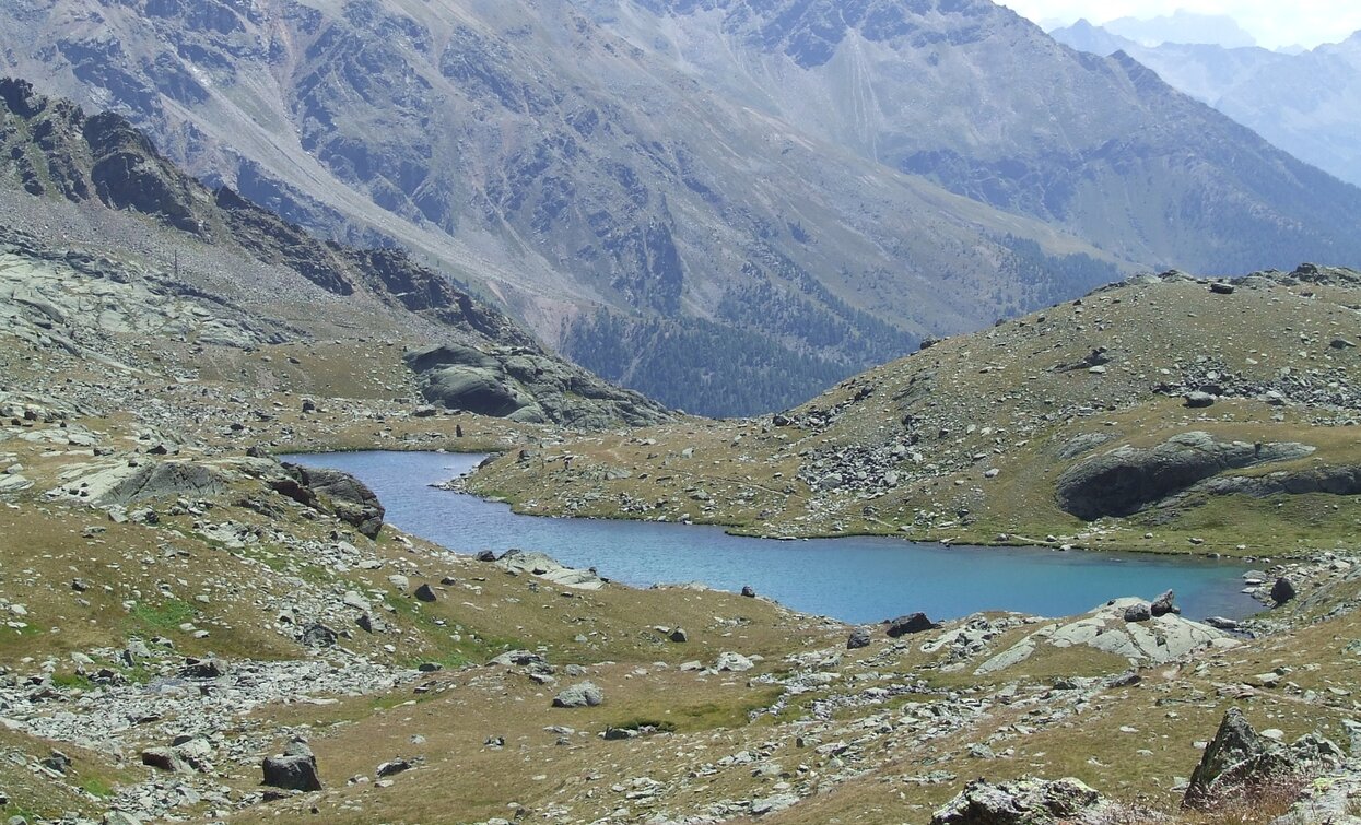 © Parco Nazionale dello Stelvio (settore Trentino)