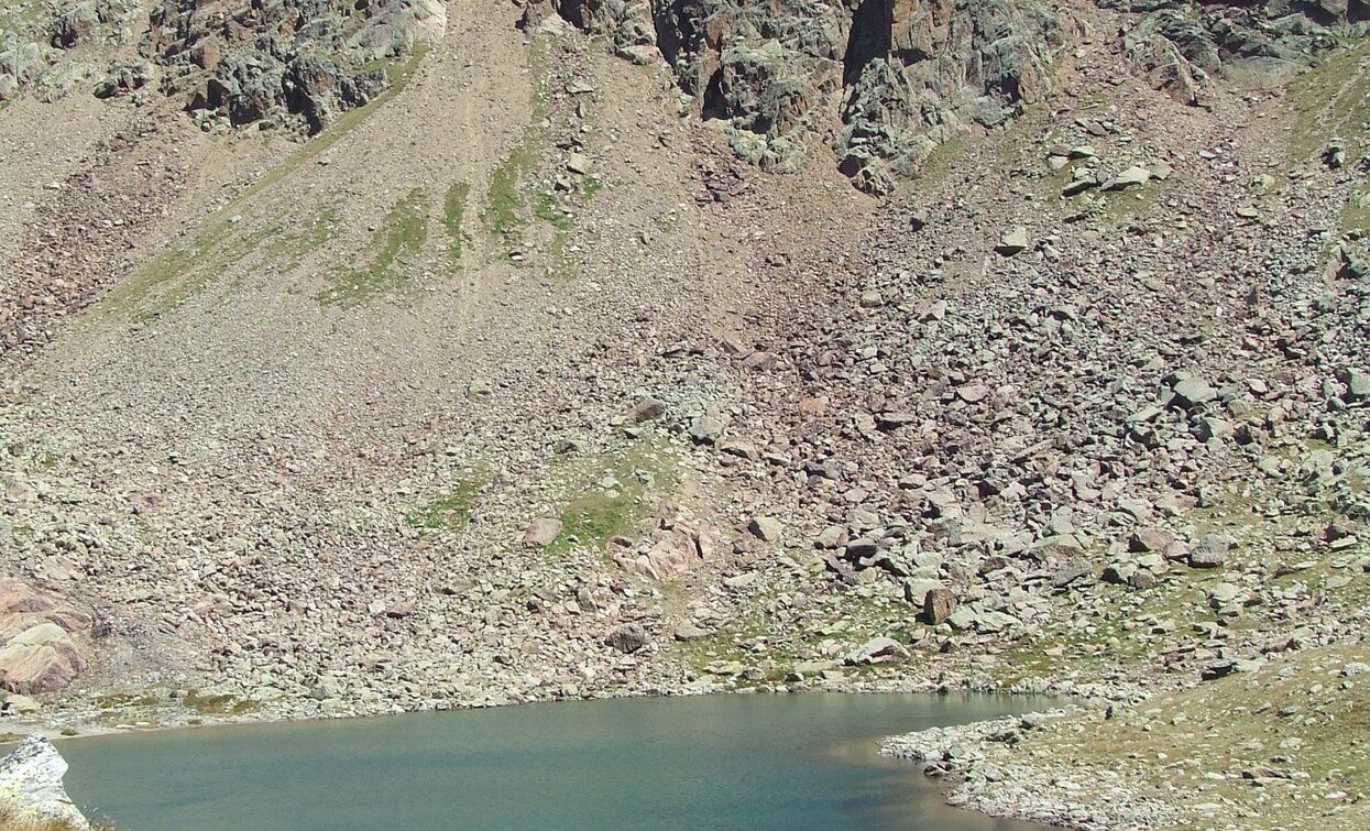 © Parco Nazionale dello Stelvio (settore Trentino)
