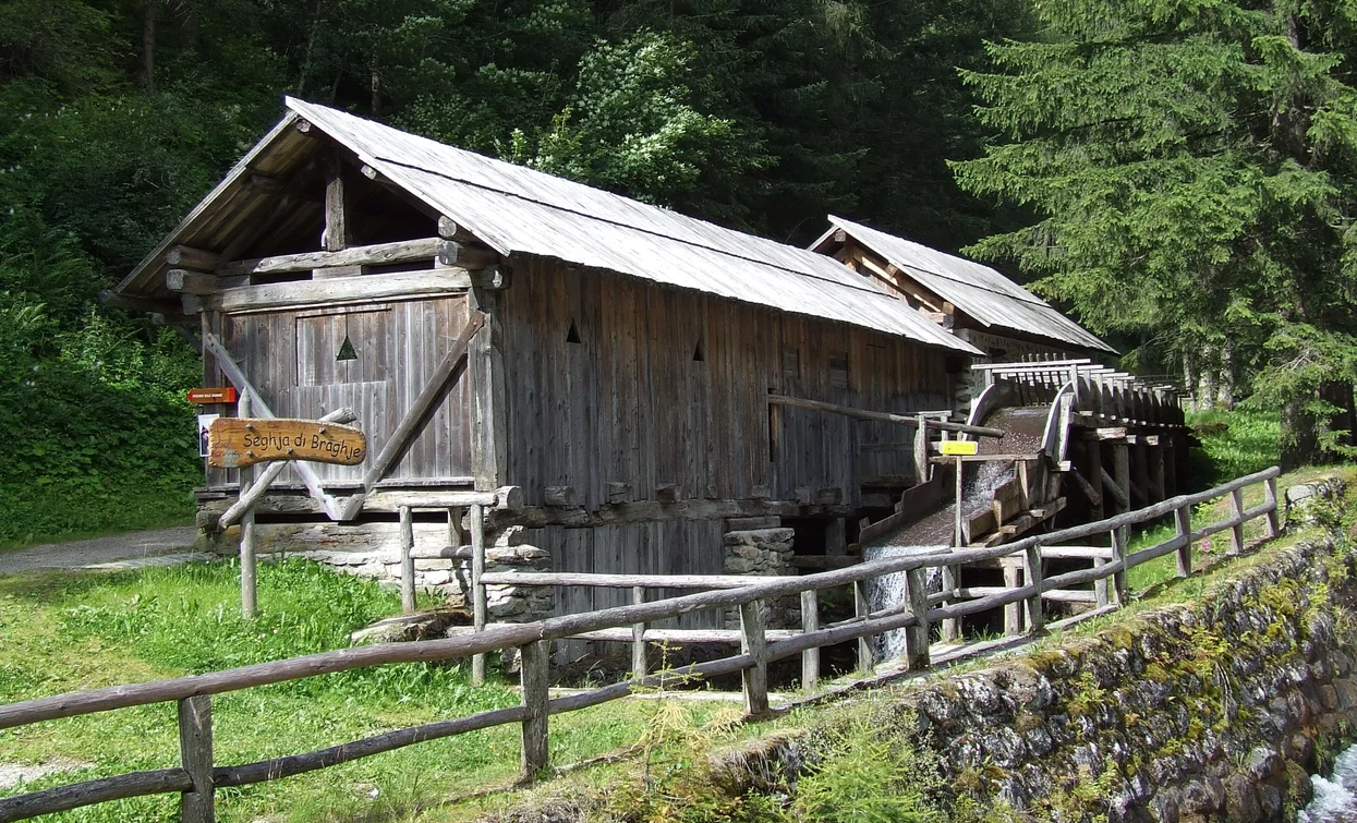 © Dorino Moreschini, Parco Nazionale dello Stelvio (settore Trentino)