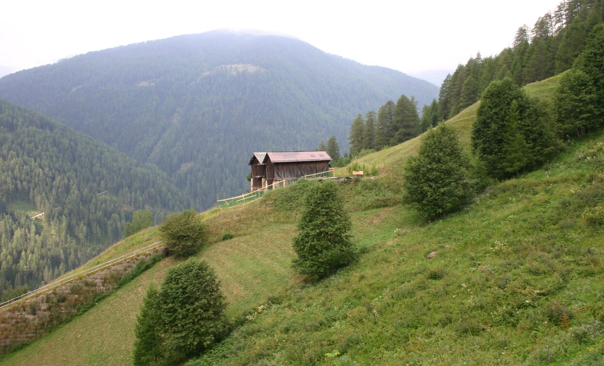 © Parco Nazionale dello Stelvio (settore Trentino)