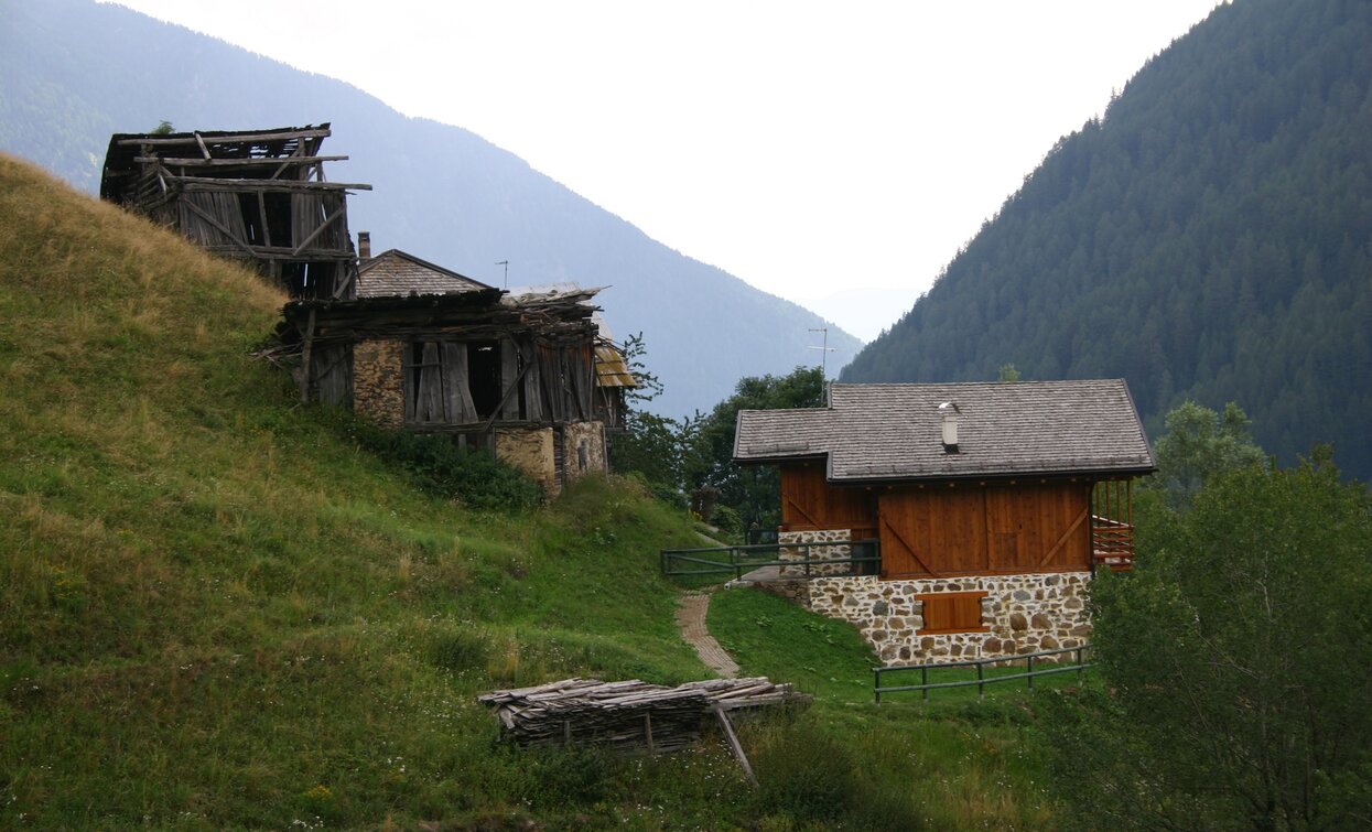 © Parco Nazionale dello Stelvio (settore Trentino)