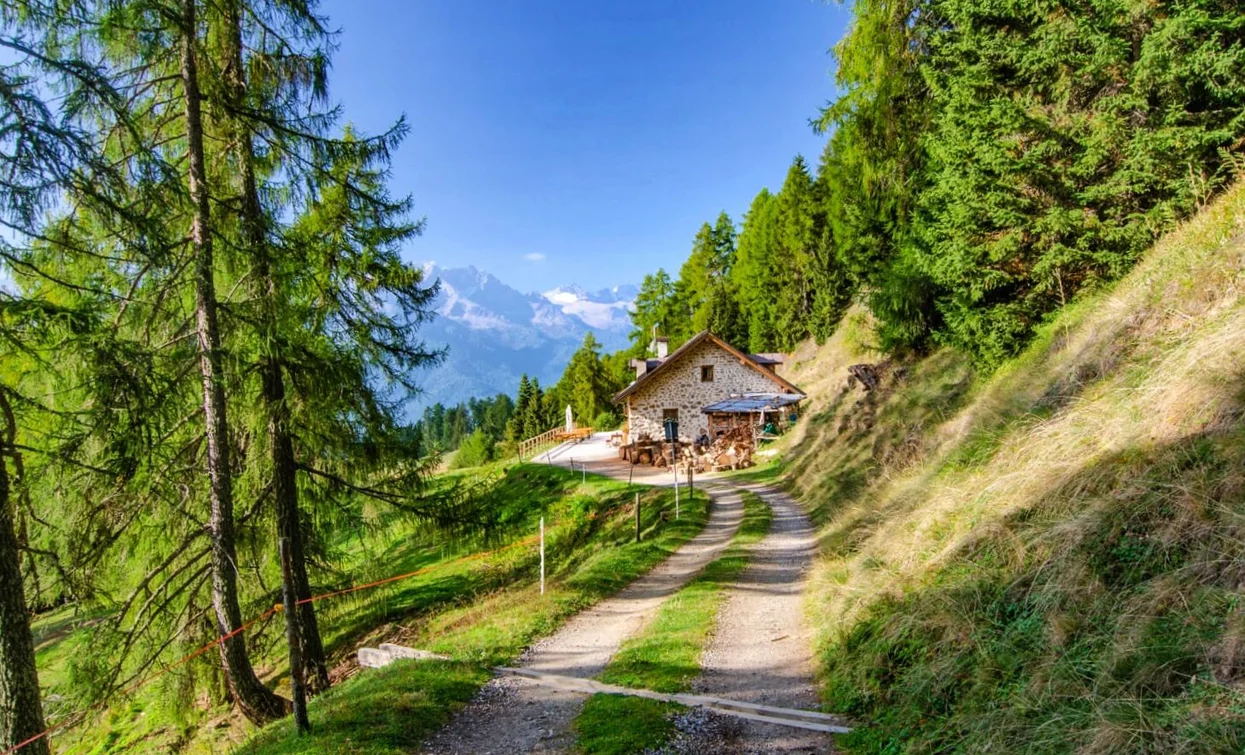 From Malga Stabli to Malga Bronzolo | © Foto Tommaso Caffara, APT Valli di Sole, Peio e Rabbi
