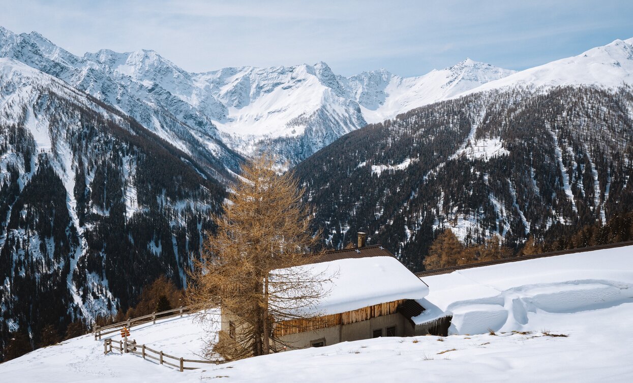Mit Schneeschuhen zwischen den Almen im Val di Rabbi im Nationalpark Stilfser Joch | © Nicola Cagol, APT - Valli di Sole, Peio e Rabbi