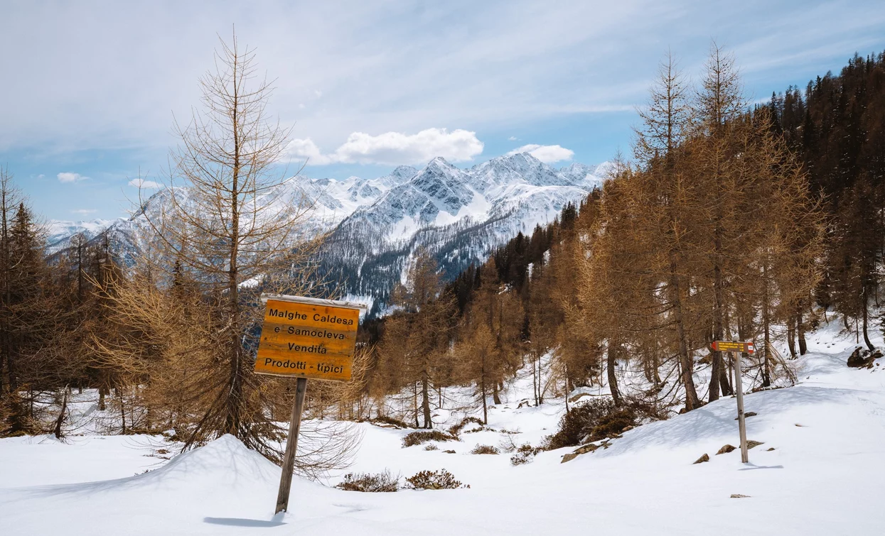 Schneeschuhwanderung zwischen den Almen im Val di Rabbi | © Nicola Cagol, APT - Valli di Sole, Peio e Rabbi