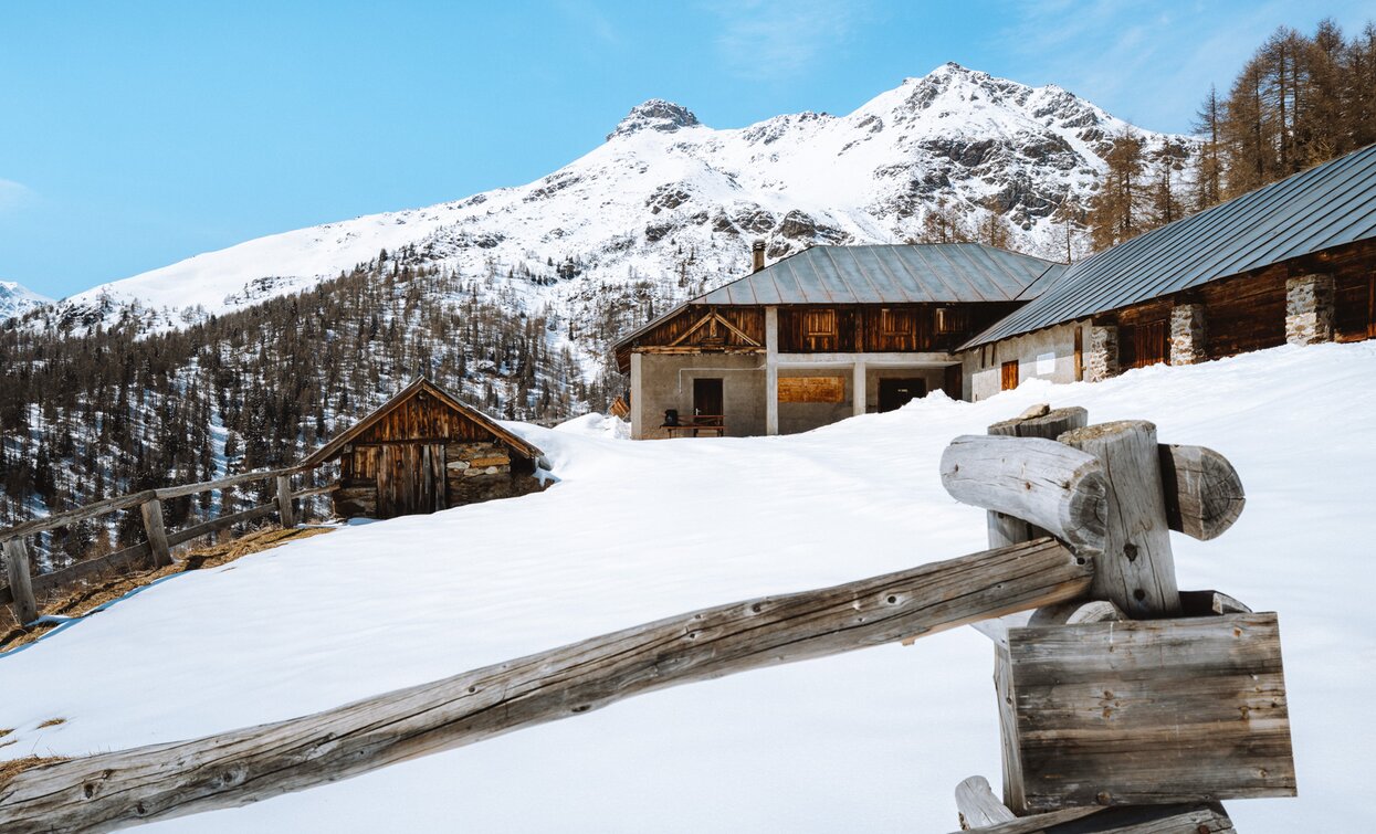 Malga Caldesa Alta im Val di Rabbi | © Nicola Cagol, APT - Valli di Sole, Peio e Rabbi