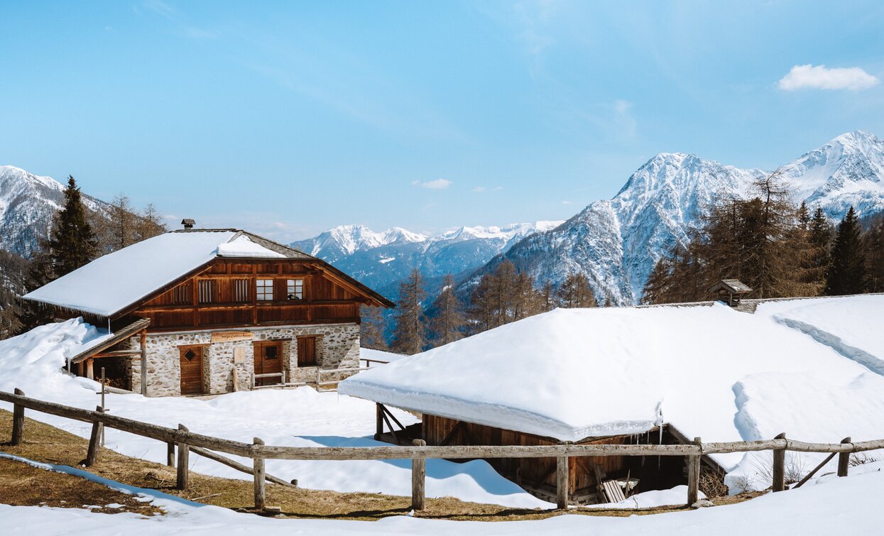 Malga Caldesa Bassa im Nationalpark Stilfserjoch | © Nicola Cagol, APT - Valli di Sole, Peio e Rabbi