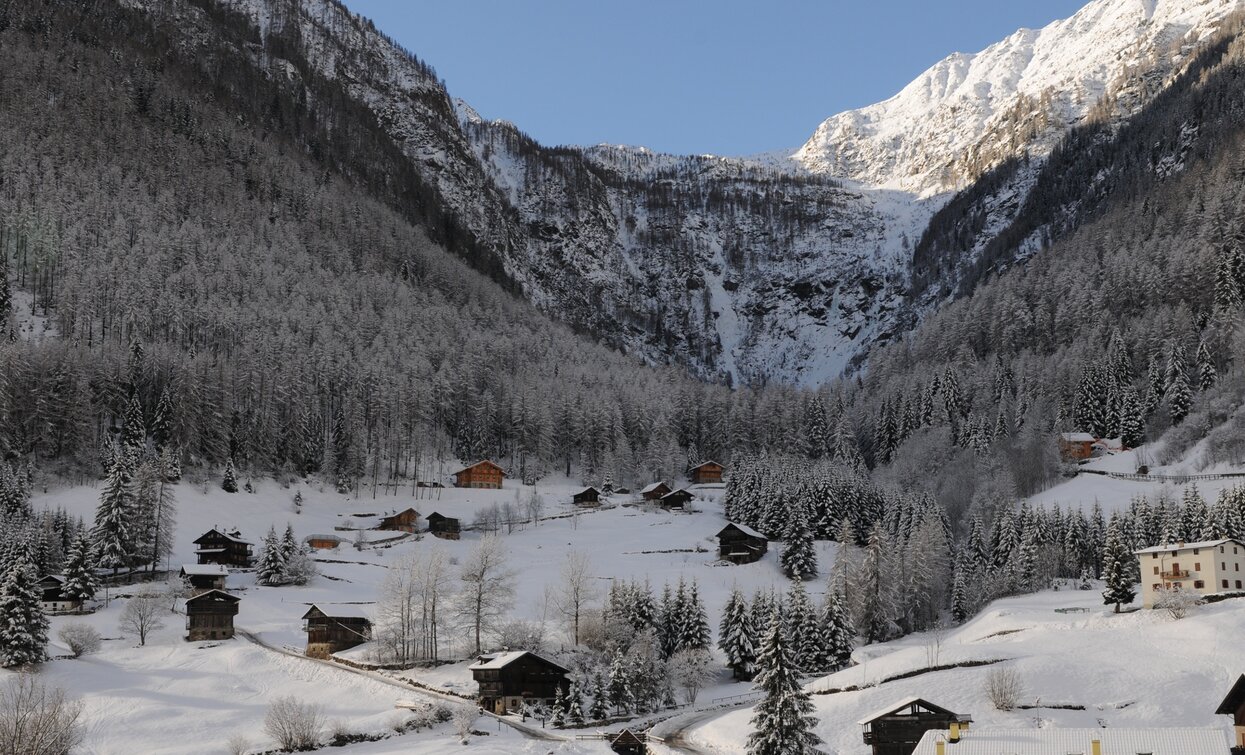 Val Valorz | © Tiziano Mochen, Azienda per Il Turismo Val di Sole 