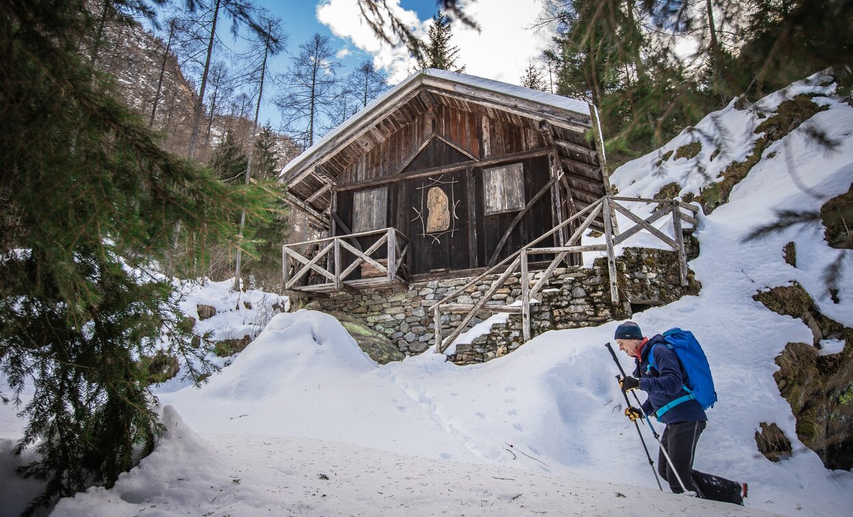 Val Valorz in Val di Rabbi | © Tommaso Prugnola , Azienda per il Turismo Val di Sole