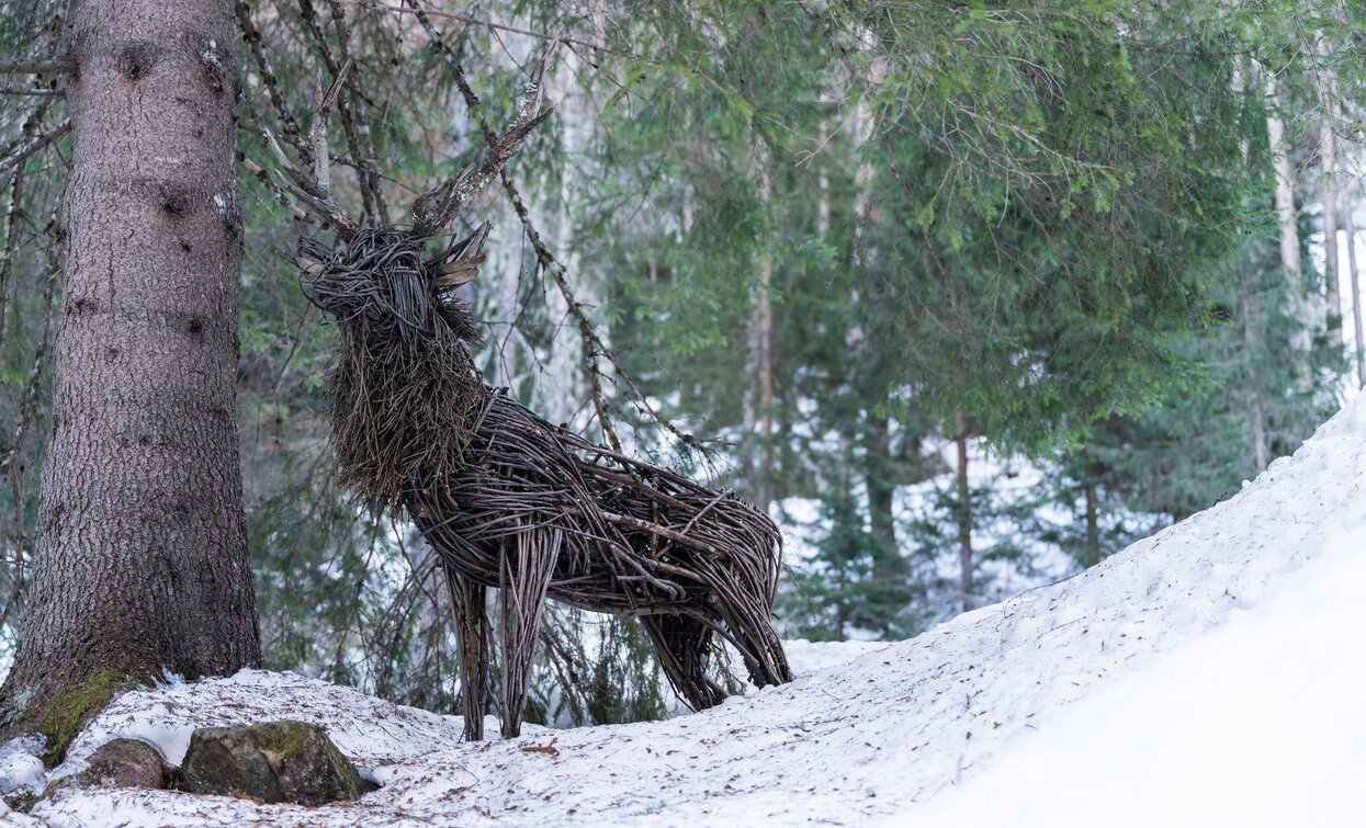 Val Valorz e le sue installazioni | © Giacomo Podetti, APT Valli di Sole, Peio e Rabbi